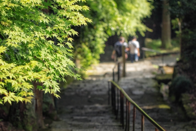 お寺参拝　参道歩く